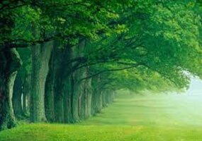 assoc_image
