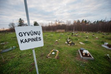 Apklausa dėl gyvūnų augintinių kapinių įrengimo