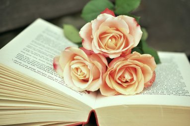 Su profesine švente pasveikinti Joniškio rajono pedagogai
