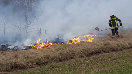 Nedeginkime žolės