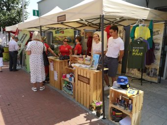 Sėkmingai įgyvendinama Jaunimo vasaros užimtumo ir integracijos į darbo rinką programa 