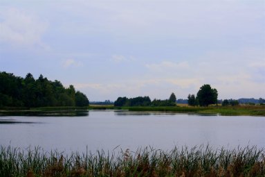 Joniškio rajono vandens telkinių kokybė atitinka higienos normas