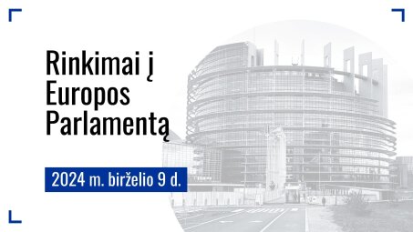 VRK primena: kaip reitinguoti kandidatus į Europos Parlamentą ir kodėl tai svarbu