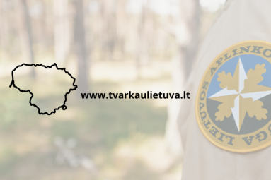 Nauja funkcija „Tvarkau Lietuvą“: galima žymėti žievėgraužio tipografo apniktus miškus
