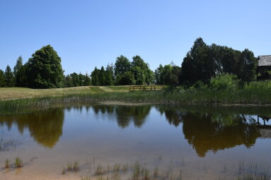 Informacija apie  paviršinių vandens telkinių apsaugos zonų ir pakrančių apsaugos juostų...