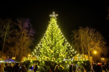 Jau greitai nušvis Šiaures Lietuvos širdies Kalėdų eglės