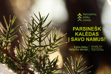Iniciatyva „Parsinešk Kalėdas į savo namus“