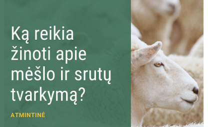 Ką būtina žinoti ūkininkams apie mėšlo ir srutų tvarkymą ir tręšimo reikalavimus po kovo 20 d. 