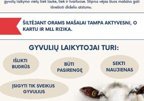 assoc_image