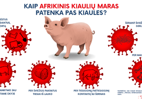 assoc_image