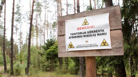 Joniškio rajone – antras Lietuvos ūkyje nustatytas afrikinio kiaulių maro protrūkis