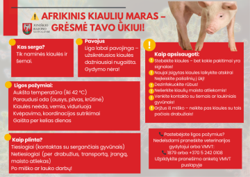 Dėl afrikinio kiaulių maro Joniškio rajono Satkūnų seniūnijoje paskelbta ekstremali situacija
