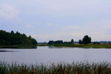 Joniškio rajono vandens telkinių kokybė atitinka higienos normas