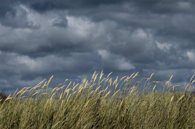 Lietuvos hidrometeorologijos tarnyba perspėja apie pavojingą meteorologinį reiškinį